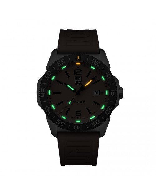 Pacific Diver 3120 Series | 3129