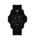G Collection Sea Lion 2050 Series | 2059.1