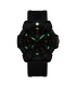 G Collection Sea Lion 2050 Series | 2059.2