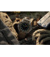 Adventure  Series 1300 | 1301.LG